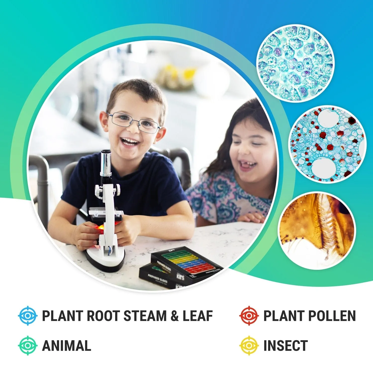 AmScope 12pc Color-coded 3-specimen Prepared Plastic Microscope Slides with Plant, Insect, Mammal, Bird and Fish Specimens