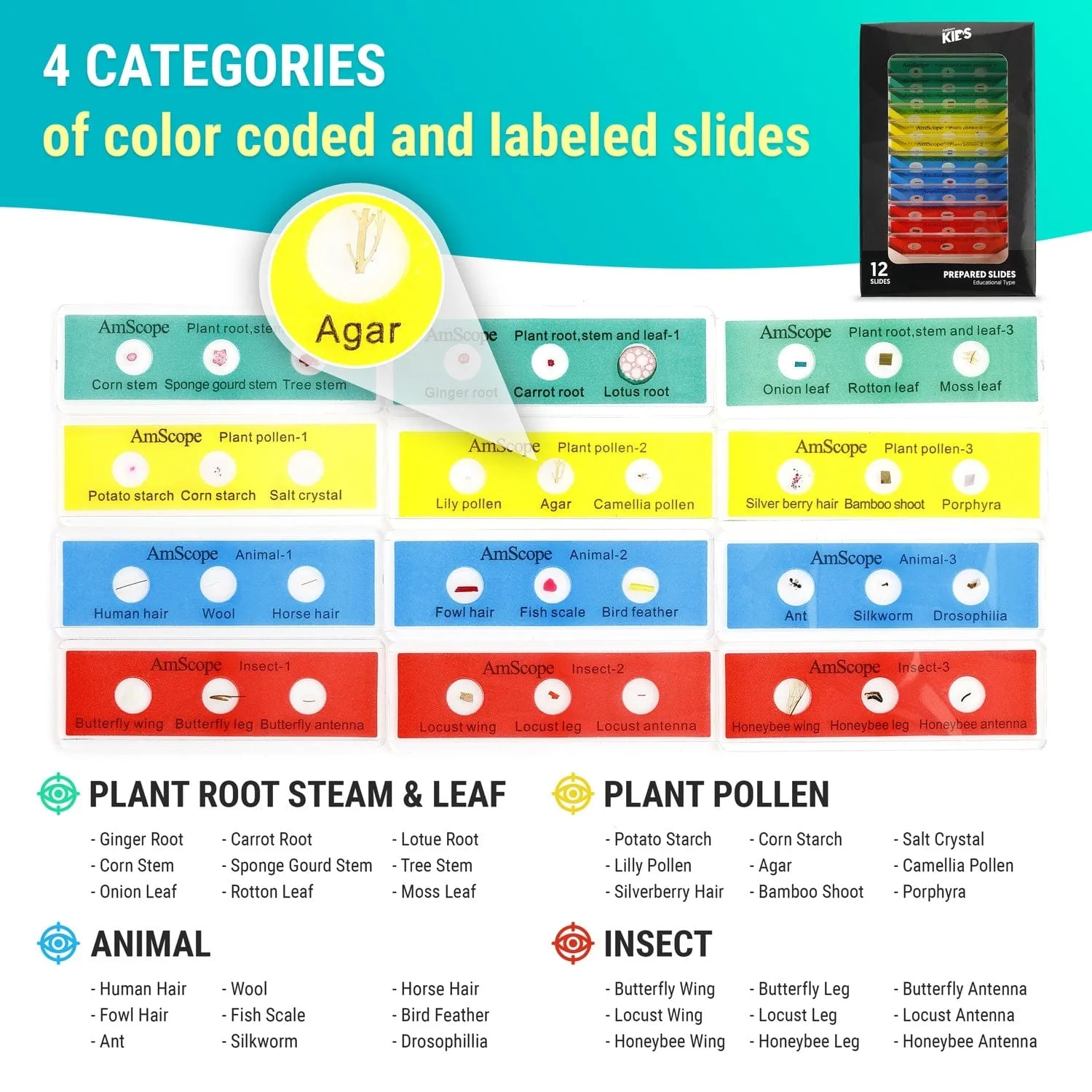 AmScope 12pc Color-coded 3-specimen Prepared Plastic Microscope Slides with Plant, Insect, Mammal, Bird and Fish Specimens