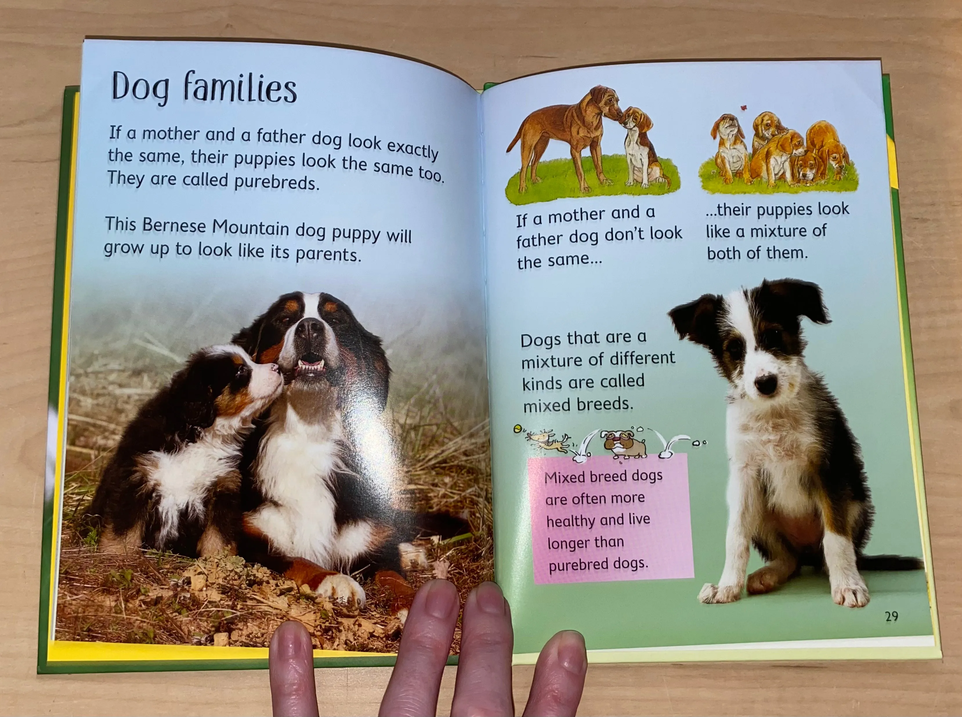 Dogs Book