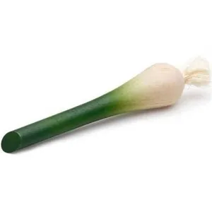 Erzi Wooden Spring Onion