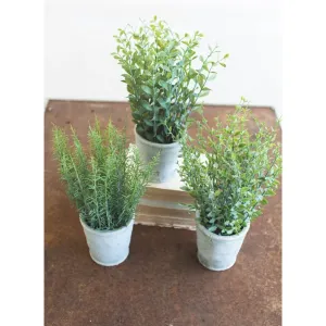 Kalalou - SET OF THREE ARTIFIAL HERBS IN CEMENT POTS - CNL1183