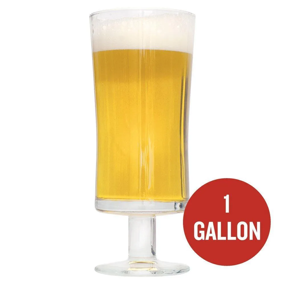 Saison au Miel 1 Gallon Beer Recipe Kit