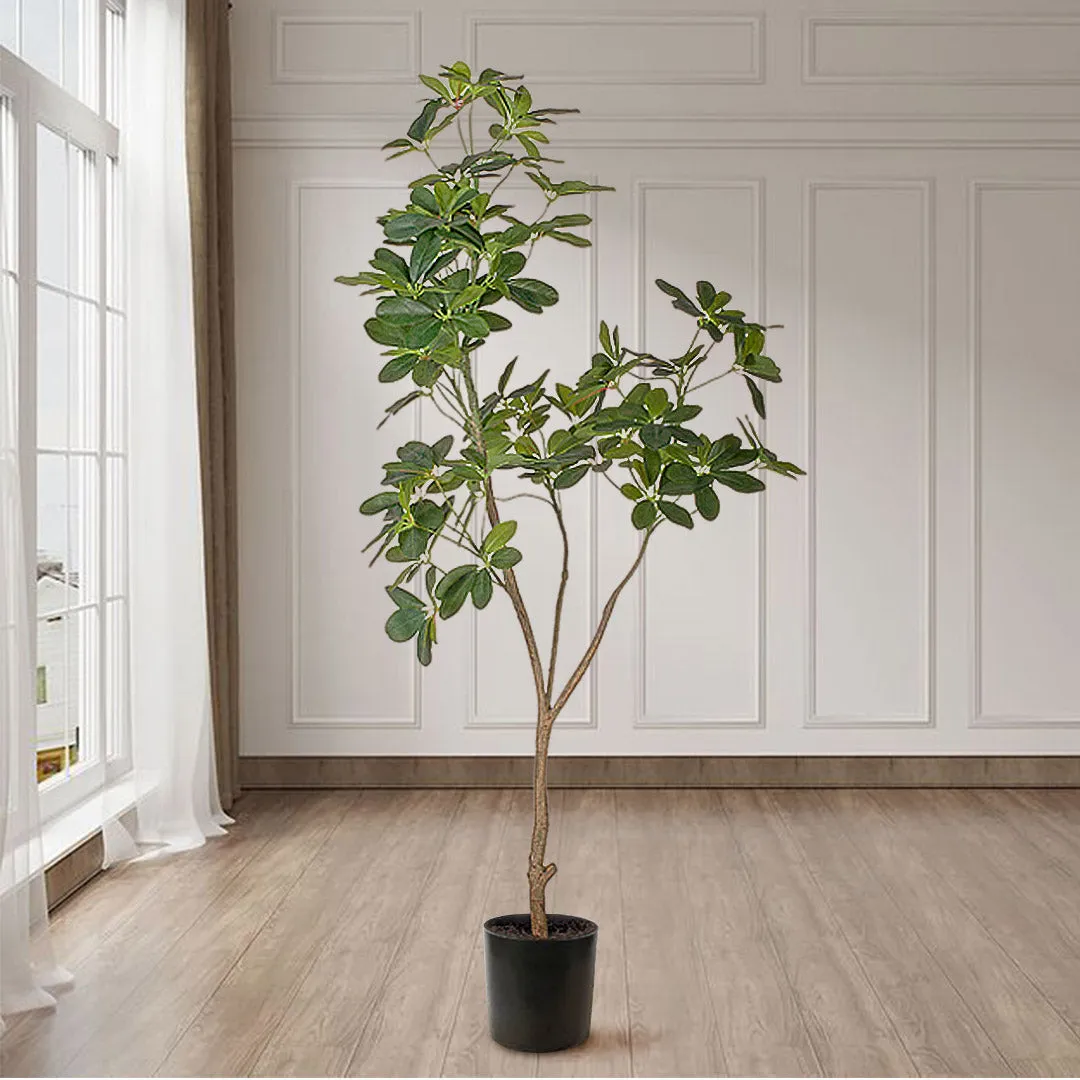 SOGA 160cm Artificial Natural Green Schefflera Dwarf Umbrella Tree Fake Tropical Indoor Plant Home Office Decor