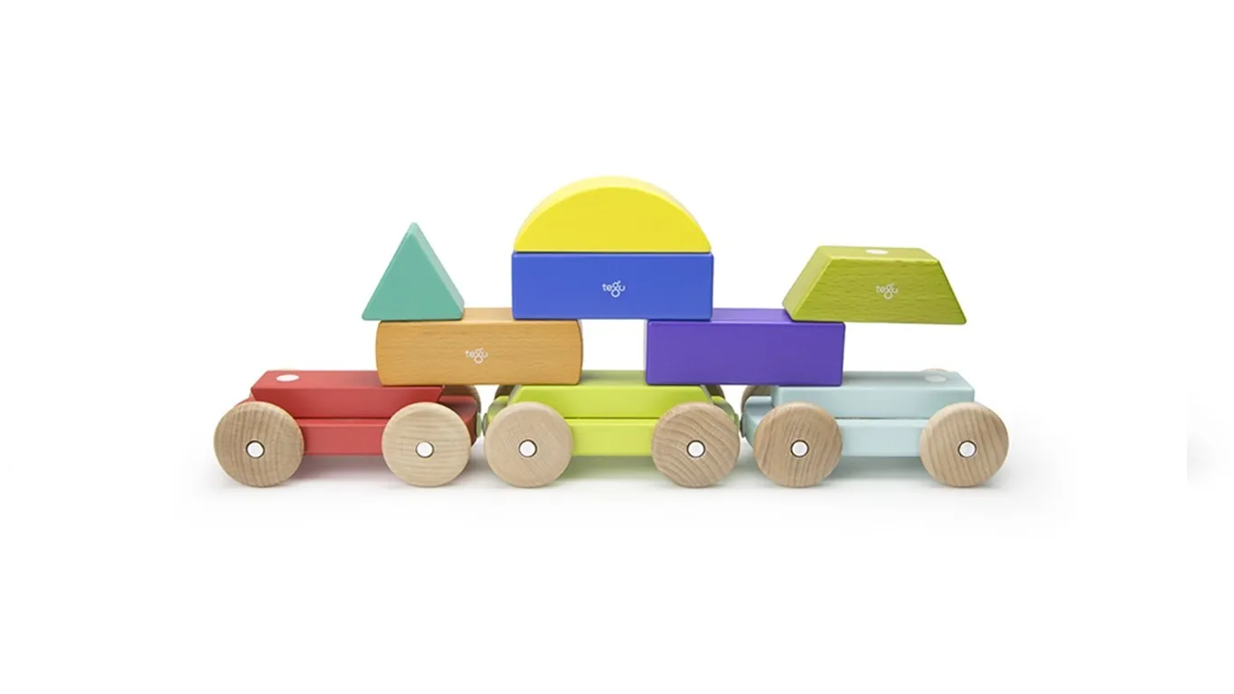 Tegu Magnetic Shape Train