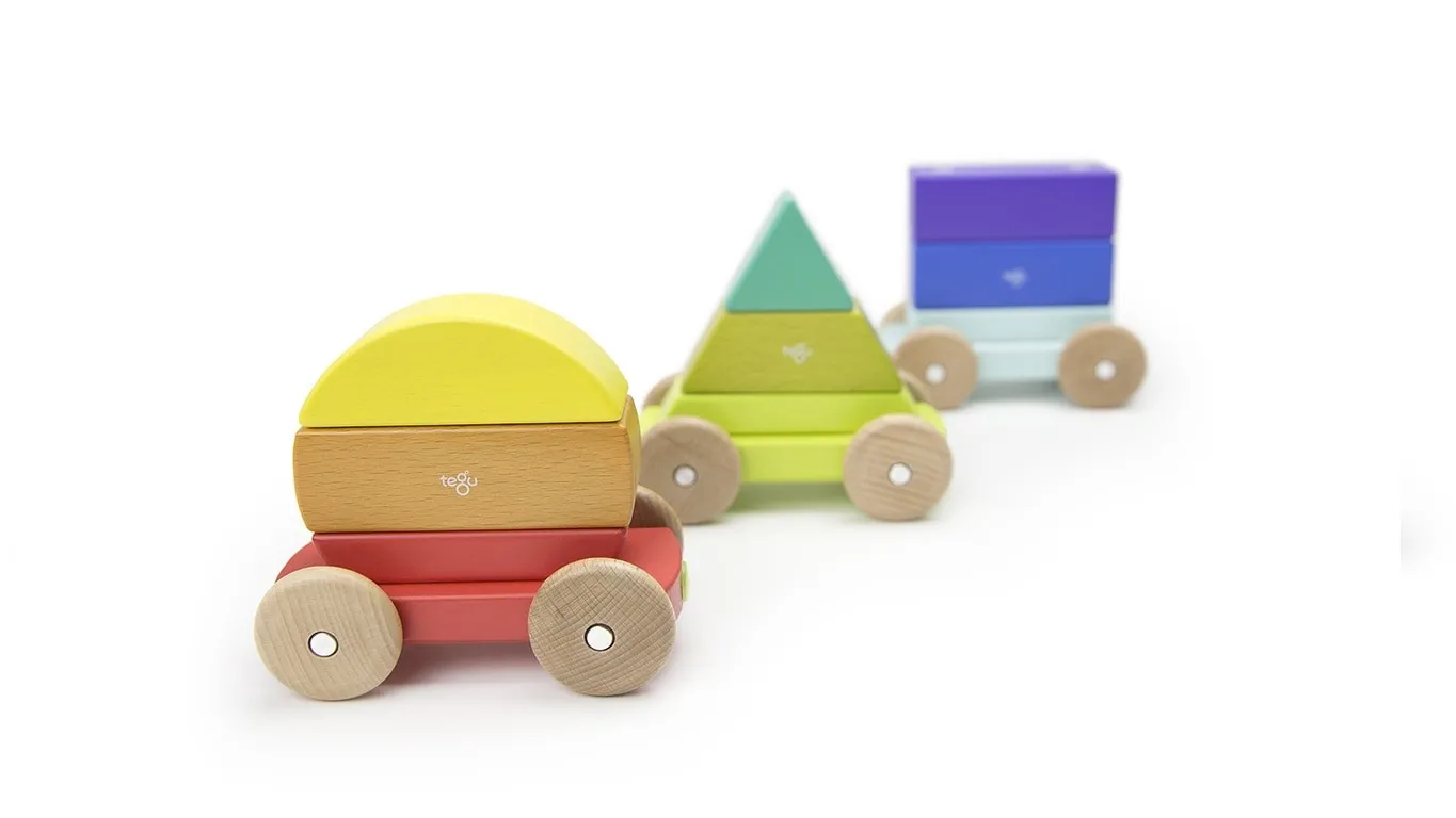 Tegu Magnetic Shape Train