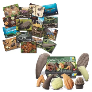 Yellow Door® Prehistoric Teeth Exploration Set