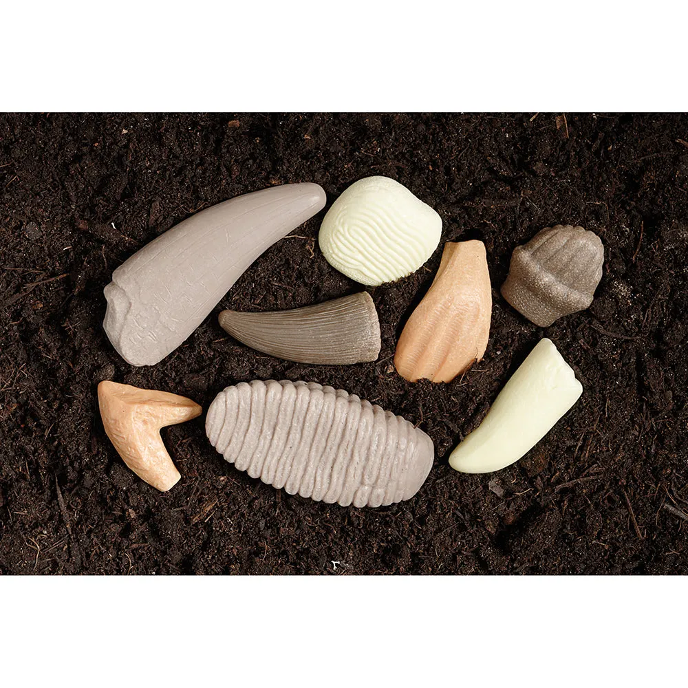 Yellow Door® Prehistoric Teeth Exploration Set